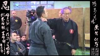 Taiden Shinden Okuden 体伝 心伝 奥 伝 Ninpo Taijutsu [upl. by Amii]