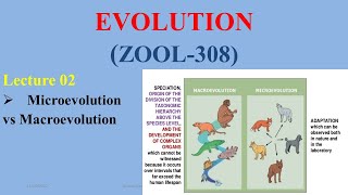 Microevolution amp Macroevolution [upl. by Eiralih]