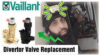 Vaillant EcoTec Diverter Valve Replacement  FULL [upl. by Nirtiac]