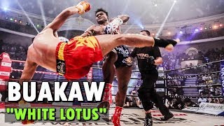 Buakaw  White Lotus Highlights amp Knockouts  MuaythaiKickboxing [upl. by Wilton621]