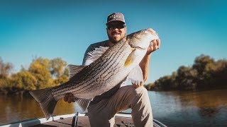 How To Catch Striped Bass [upl. by Junno675]