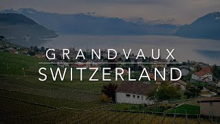 Grandvaux Vineyards  Lavaux Oron Switzerland [upl. by Huang]