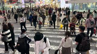 Shibuya Scramble Crossing [upl. by Lehcim]