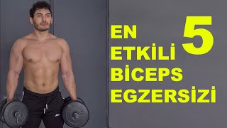 EN ETKİLİ 5 BİCEPS EGZERSİZİ  Ön Kol Kaslarını Geliştir [upl. by Yenruogis]