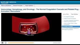 USMLE® Step 1 Hemostasis Animation [upl. by Leann890]