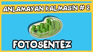 Anlamayan Kalmasın 2 Fotosentez [upl. by Anairuy]