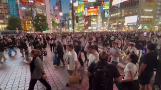 Shibuya Crossing Tokyo [upl. by Saqaw899]