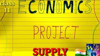 Class 11 Economics project  SUPPLY  overview [upl. by Barthol]