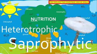 Autotrophic Heterotrophic and Saprophytic Nutrition  CSEC BIOLOGY TCP [upl. by Darcy]