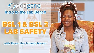 BSL 1 amp BSL 2 Safety  Intro to the Lab Bench [upl. by Nirual]