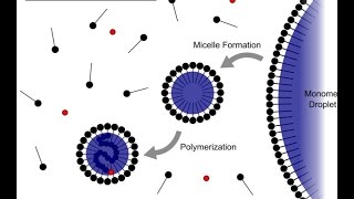 Emulsion Polymerization [upl. by Favianus]