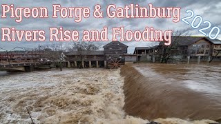 Flooding Pigeon Forge and Gatlinburg Tennessee 2020 [upl. by Max]