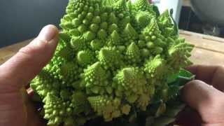 Trimming and preparing Romanesco [upl. by Joo]