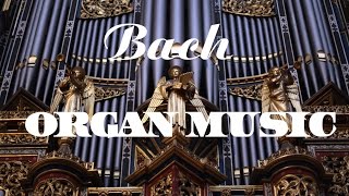 Bach  The Best Organ Music [upl. by Ariaes]