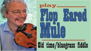 Flop eared mule fiddle lesson [upl. by Ventre]