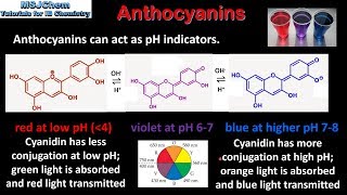 B9 Anthocyanins HL [upl. by Yeldoow]