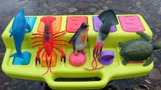 Pop Up with Sea Creature Toys [upl. by Sothena]