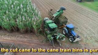 Sugar Cane Harvest 2018 Season [upl. by Goltz]