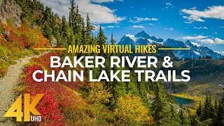 4K Virtual Hike Near River through the Forest  Baker River Trail amp Chain Lake Trail [upl. by Ruttger]