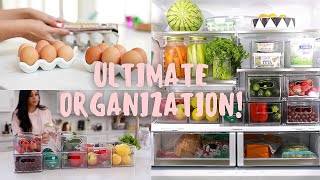 ULTIMATE Fridge Organization IN 5 Easy Steps MissLizHeart [upl. by Ajnat]