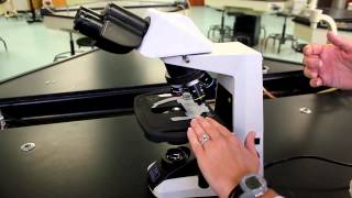 Tour of the Nikon microscope [upl. by Rayford571]