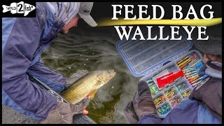 Targeting Steep Edges for Fall Walleyes With Jigging Raps [upl. by Jillene75]