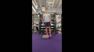 Lateral StepDown Exercise [upl. by Aitnwahs]