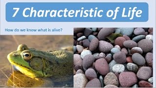 7 Characteristics of Life [upl. by Arri]