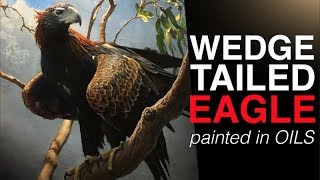 How to paint BIRDS  The Majestic WEDGE TAILED EAGLE  Oil Painting Tutorial [upl. by Alol]