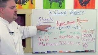 Understanding Gelatin Sheets V Powder Pt 1 of 3 [upl. by Ivanna930]