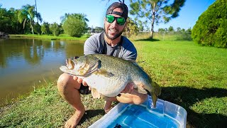 Stocking Pond With GIANT 12lb PET BASS overly stuffed fish [upl. by Marci]