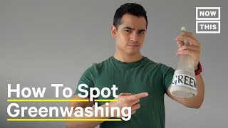 Everything You Need to Know About Greenwashing [upl. by Wehttan765]