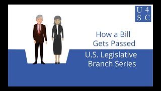 How a Bill Gets Passed From Bill to Law  US Legislative Branch Series  Academy 4 Social Change [upl. by Quartis]