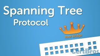 Spanning Tree Protocol Explained  Step by Step [upl. by Sidell]