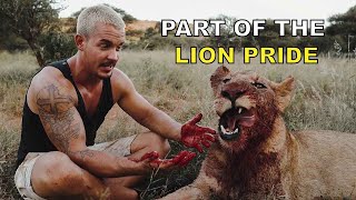 Part of the Lion Pride  Dean Schneider living with lions [upl. by Aronos]