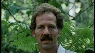 Werner Herzog on Nature [upl. by Nitsid513]