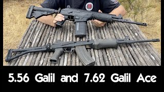 556 Galil and 762 Galil ACE [upl. by Otrebron]