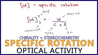 Specific Rotation and Observed Rotation Calculations in Optical Activity [upl. by Radack820]