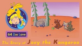 64 Zoo Lane  Joey the Kangaroo S01E03 HD  Cartoon for kids [upl. by Diley]