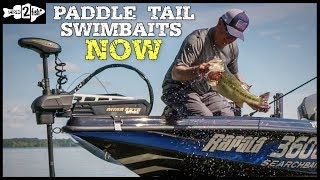 A Beginner’s Guide to Paddle Tail Swimbaits [upl. by Melvina]