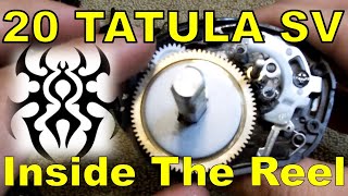 2020 Daiwa Tatula SV InDepth Teardown FOLLOW ALONG [upl. by Luo268]