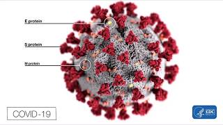 ELISA TestingSARS CoV2 COVID19 [upl. by Eelarual]