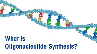 What is Oligonucleotide Synthesis [upl. by Attenrad62]