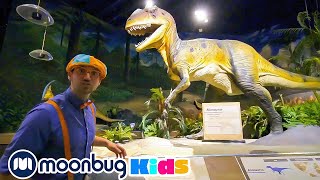 Blippi Visits Dinosaur Exhibition to Learn About Eggs and Fossils  Blippi  Kids Songs [upl. by Sanyu]