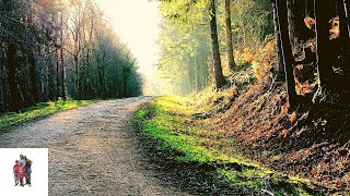 Paradise Point State Park WA [upl. by Kissner136]