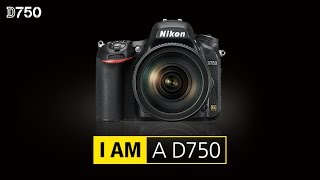 Nikon D750  Review On Nikon D750 24 MP DSLR Camera [upl. by Byers]