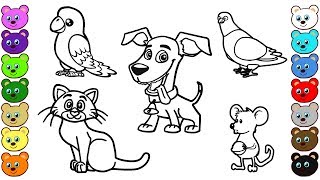 Home Animals Coloring Pages [upl. by Midas]