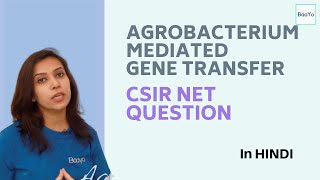 Agrobacterium Mediated Gene Transfer  Part 5  CSIR NET Question [upl. by Tait403]