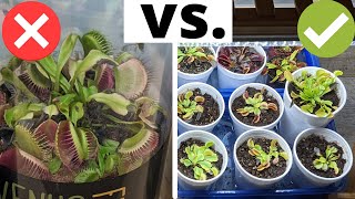 The Complete Venus Flytrap Indoor Care Guide 🌱 [upl. by Alleyn]