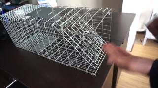 How To Assemble A Live Animal Trap [upl. by Rihsab]